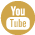 NSDAR YouTube Channel