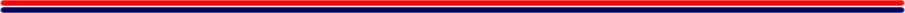 Red Blue Line